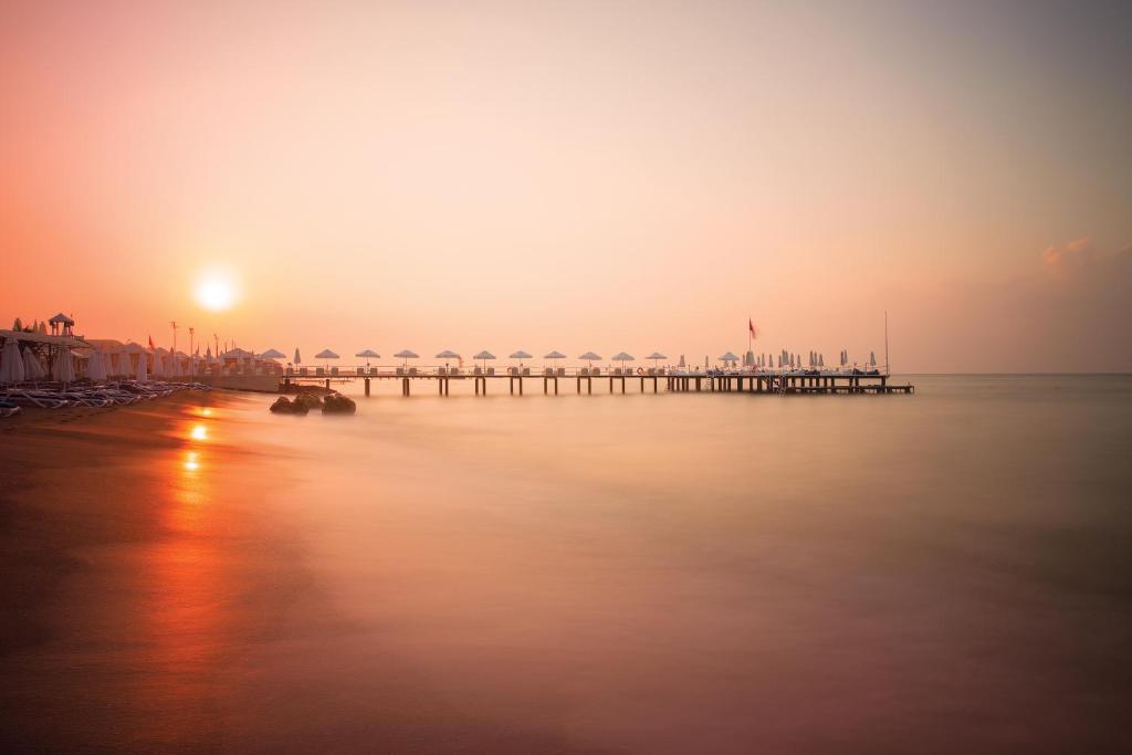 stambul_view.webp