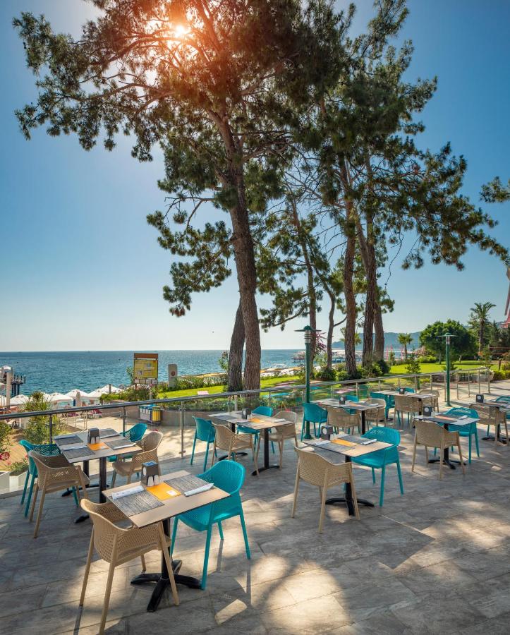 stambul_view.webp