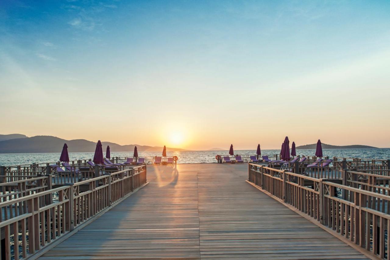 stambul_view.webp