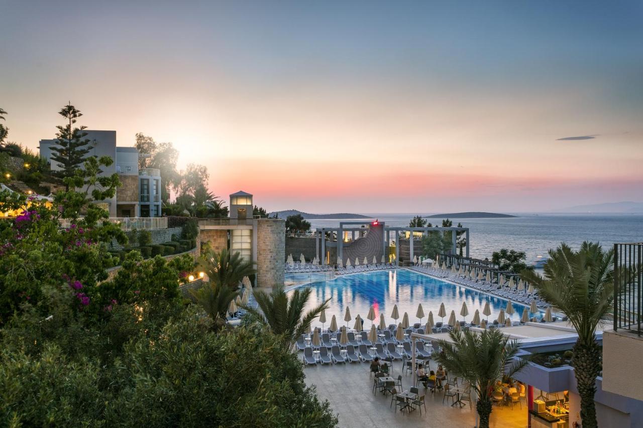 stambul_view.webp