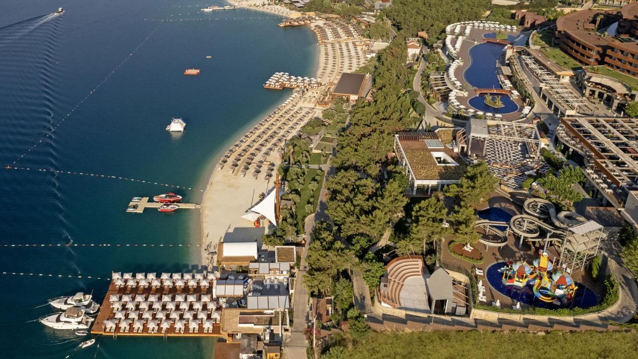 stambul_view.webp
