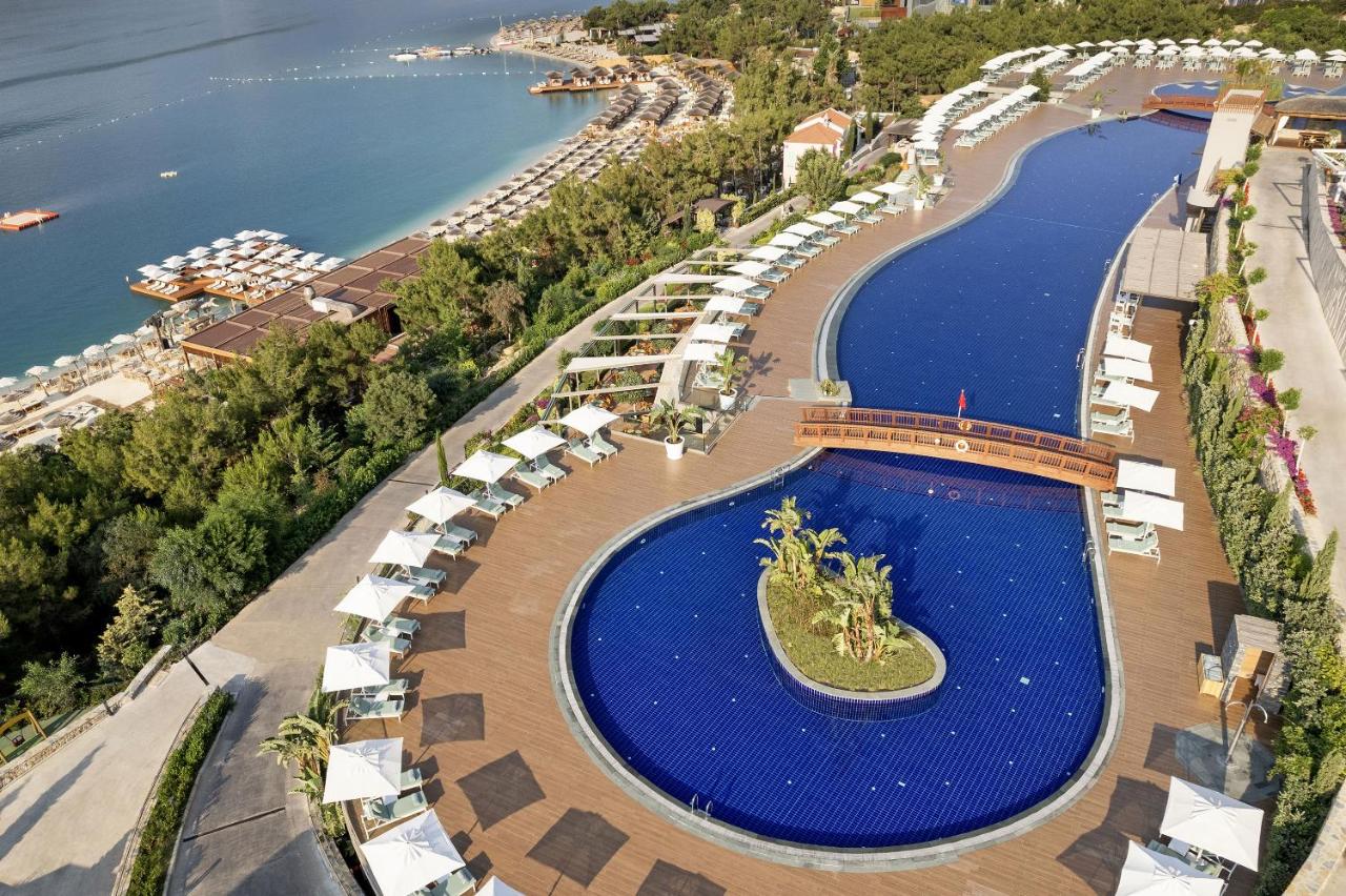 stambul_view.webp