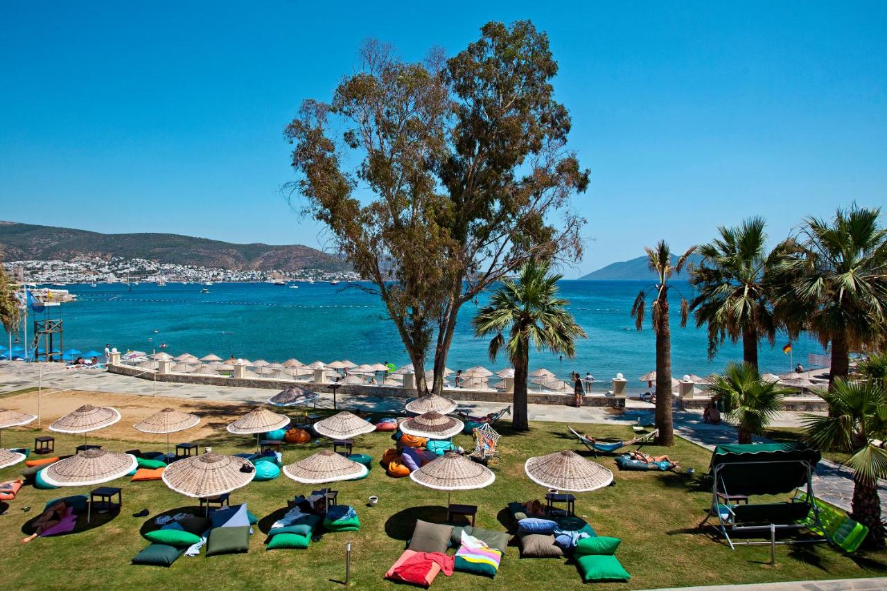 stambul_view.webp