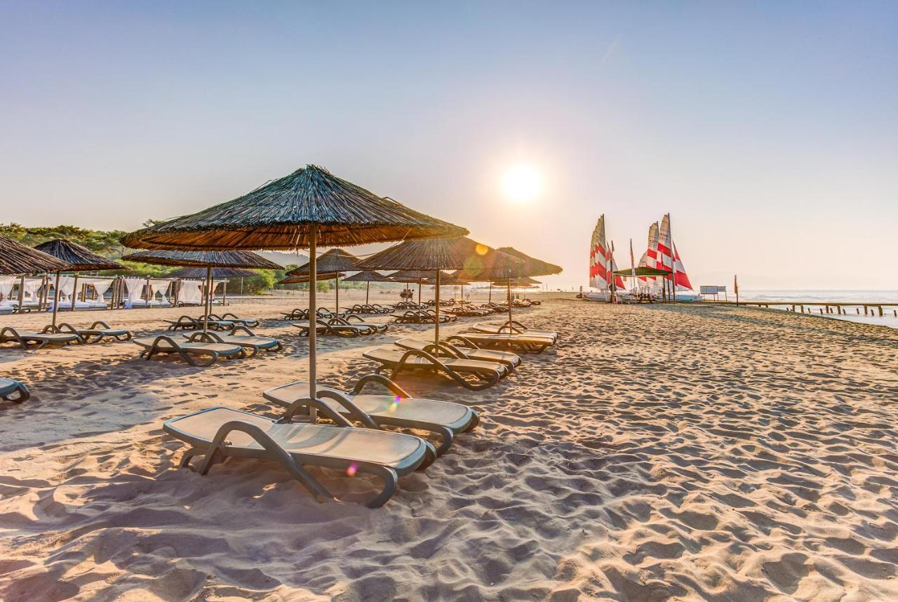 stambul_view.webp