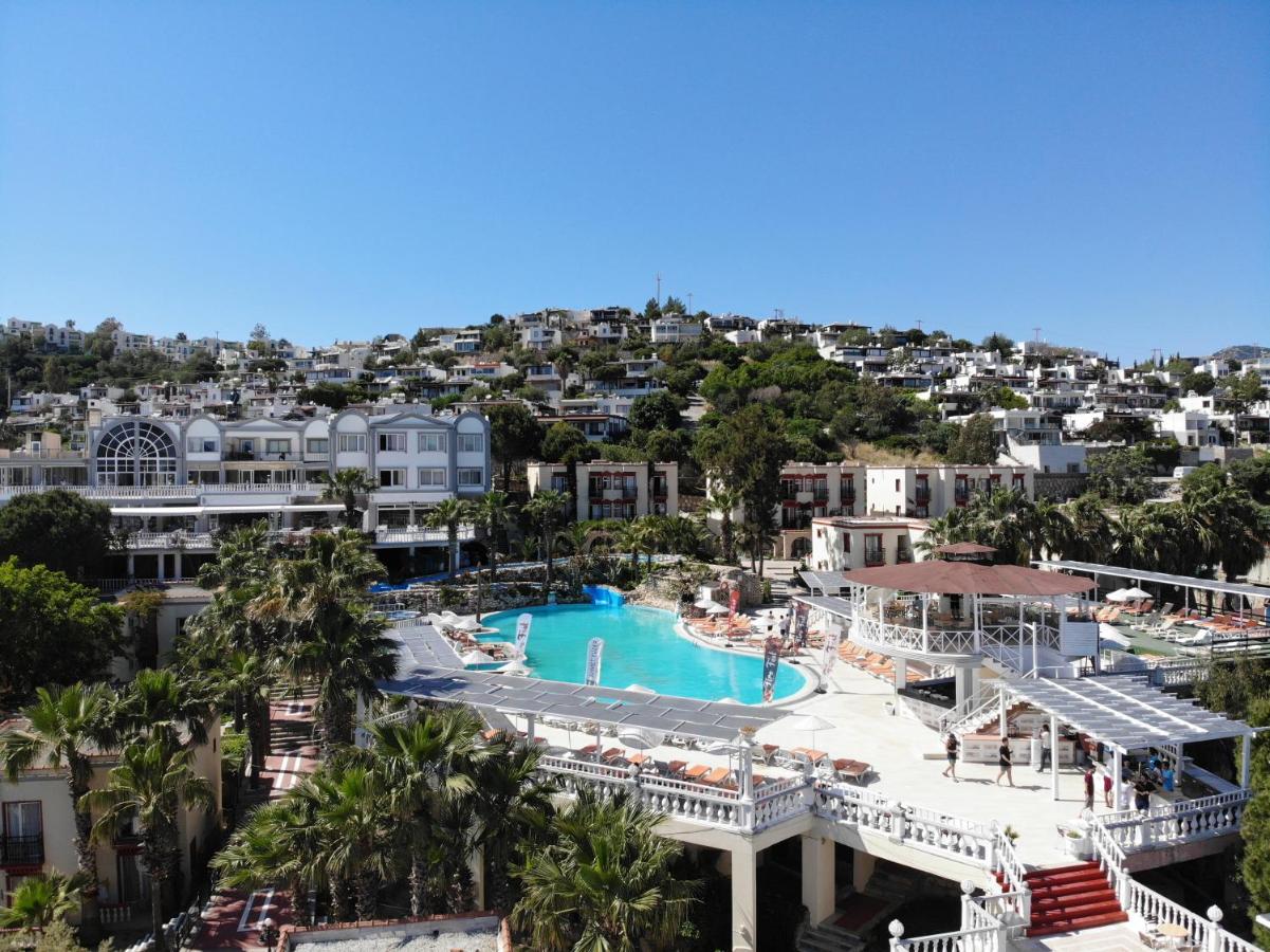 stambul_view.webp