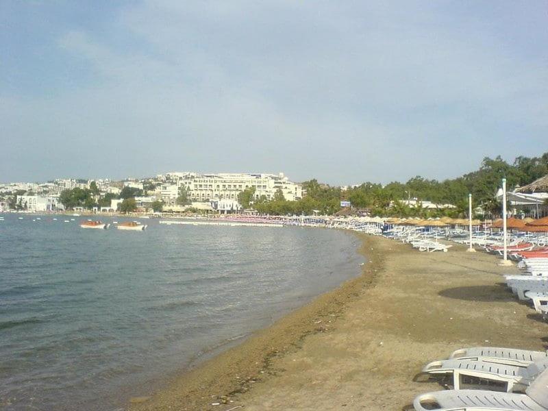 stambul_view.webp