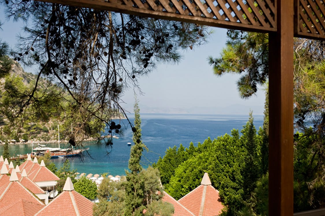 stambul_view.webp