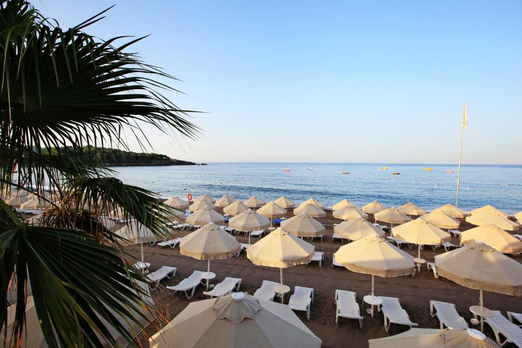 stambul_view.webp