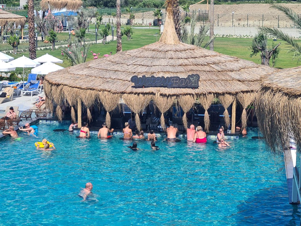 stambul_view.webp