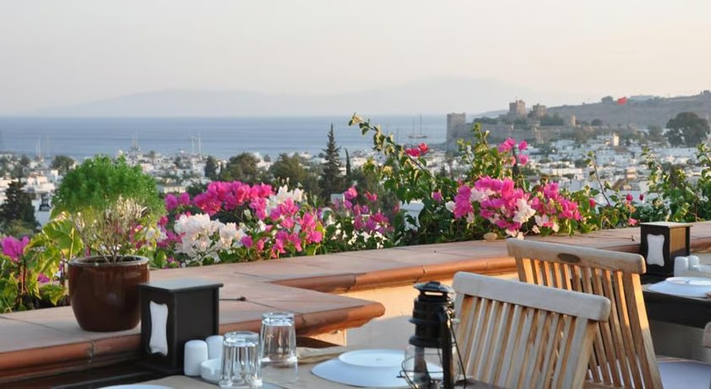 stambul_view.webp