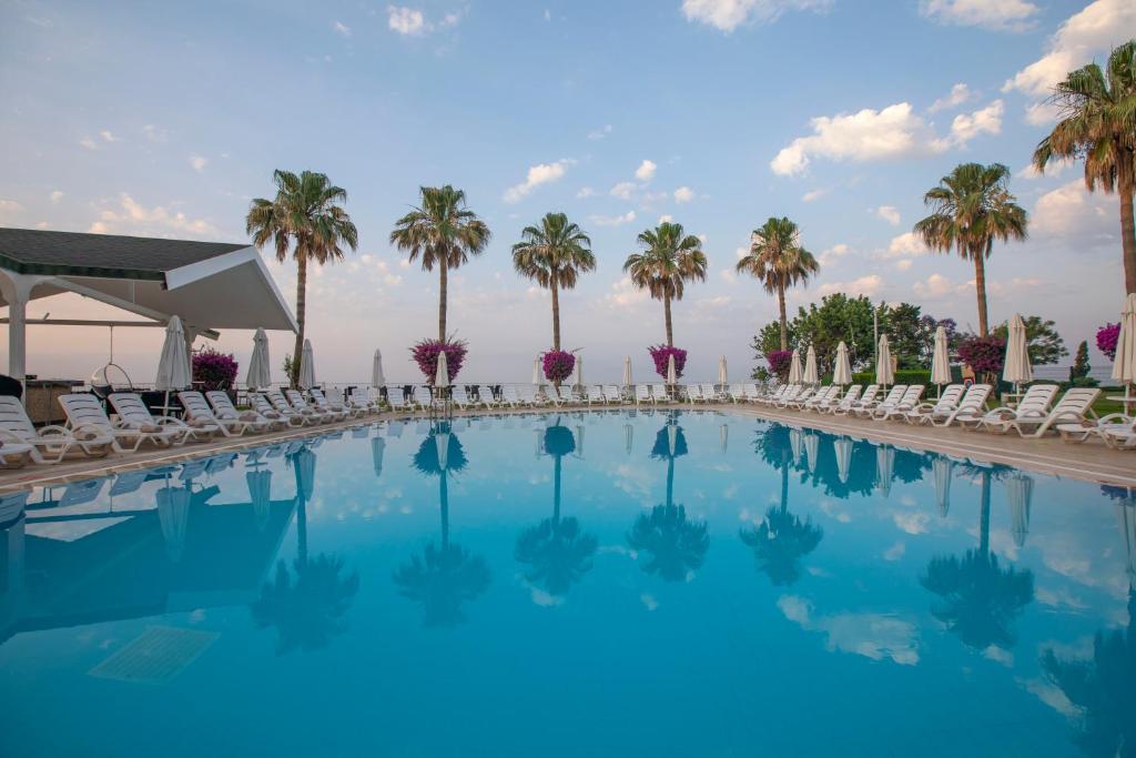 stambul_view.webp